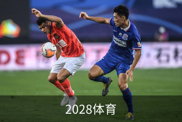 2028体育